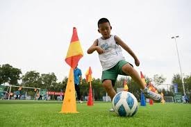 棒球与细胞再生医疗现代医学如何通过高浓度血小板注射加速球员康复